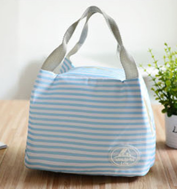 Insulated Lunch Bag for Picnic and Food Storage
