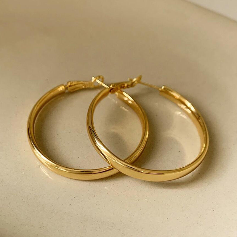 French Metal Hoop Earrings 2023 Trendy Women's Accessory