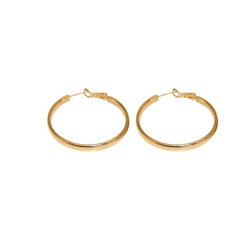 French Metal Hoop Earrings 2023 Trendy Women's Accessory